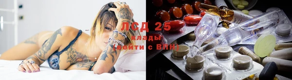 мяу мяу мука Богородицк
