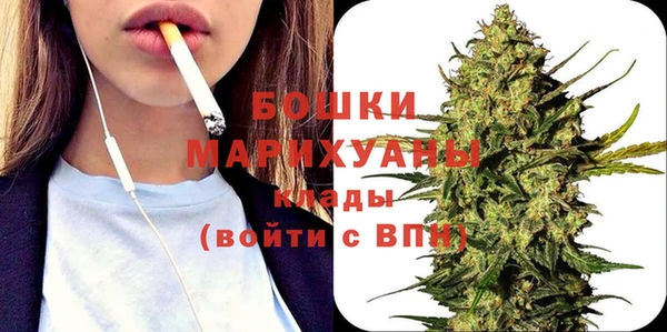 молекула духа Богородск