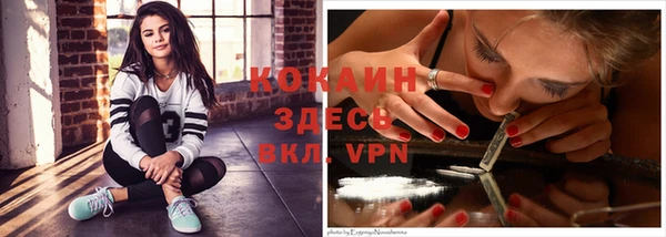 таблы Богданович
