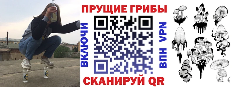 Галлюциногенные грибы Psilocybine cubensis Череповец
