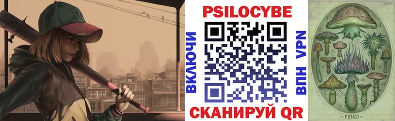 Псилоцибиновые грибы Psilocybe как найти Череповец